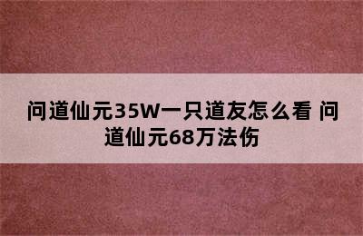 问道仙元35W一只道友怎么看 问道仙元68万法伤